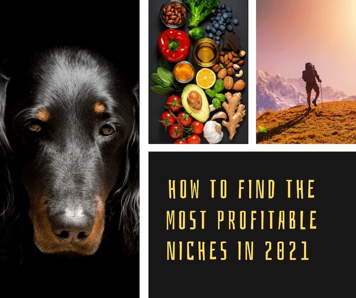 Most Profitable Niches of 2021