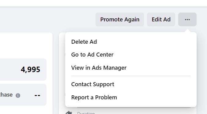 view in ads manager