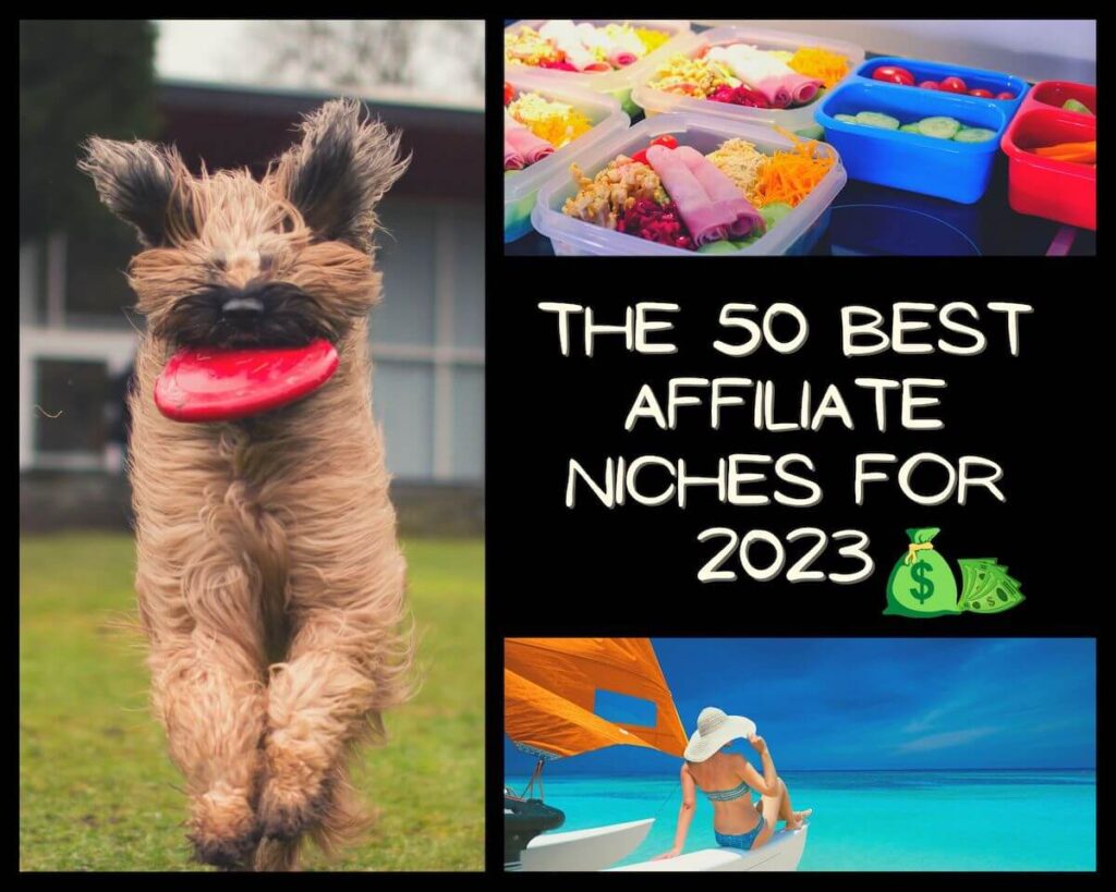 50 Profitable Niches for Affiliate Marketing in 2023