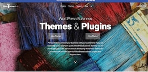 BizzThemes wordpress