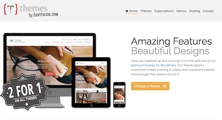 Themes by Bavotsan wordpress