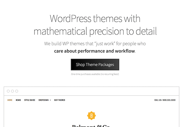 Themetry theme wordpress 